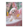 The Pink Poodle in the Bath