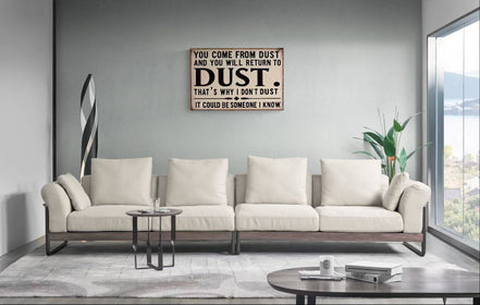 That's Why I Don't Dust