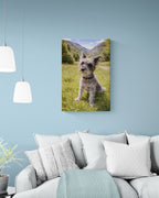 Schnauzer On The Grass