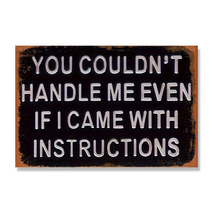 You Couldn't Handle Me Even If I Came With Instructions