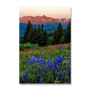 Meadow Beneath The Peaks