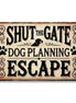 Shut The Gate, Dog Planning Escape