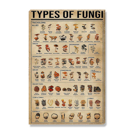 Types of Fungi