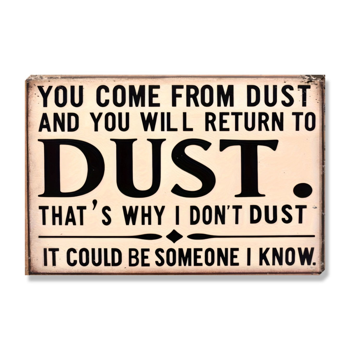 That's Why I Don't Dust
