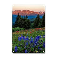 Meadow Beneath The Peaks