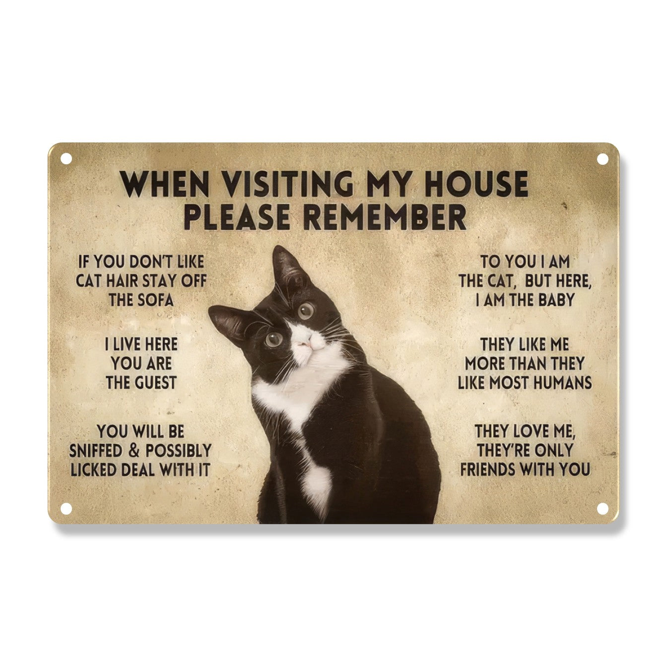When Visiting My House Please Remember Cat