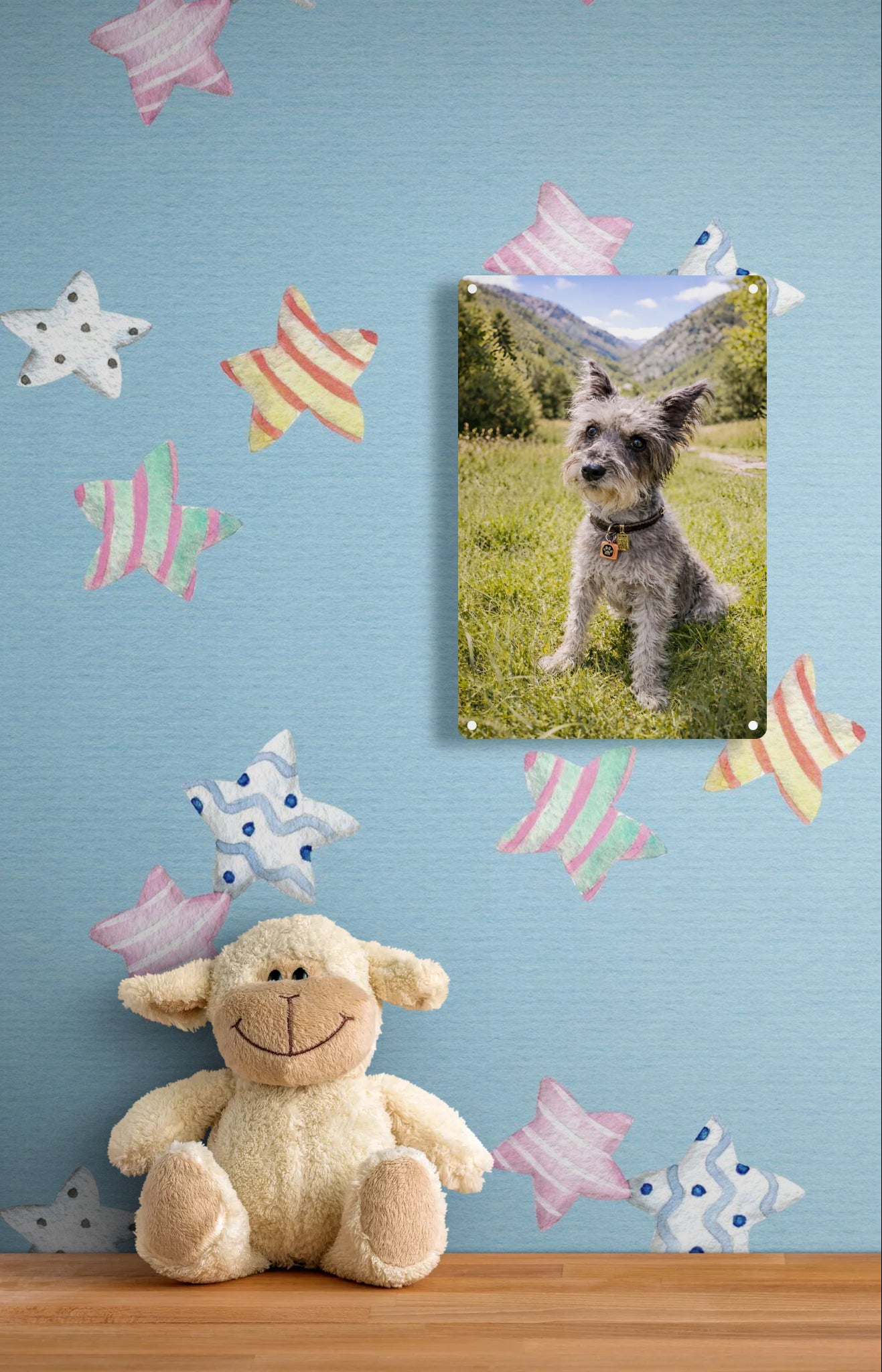 Schnauzer On The Grass