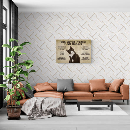 When Visiting My House Please Remember Cat
